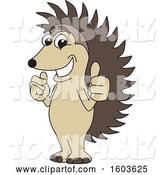 Vector Illustration of a Cartoon Hedgehog Mascot Holding Two Thumbs up by Mascot Junction